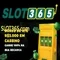 slot365 apk: Đánh giá chuyên sâu và trải nghiệm người dùng tối ưu
